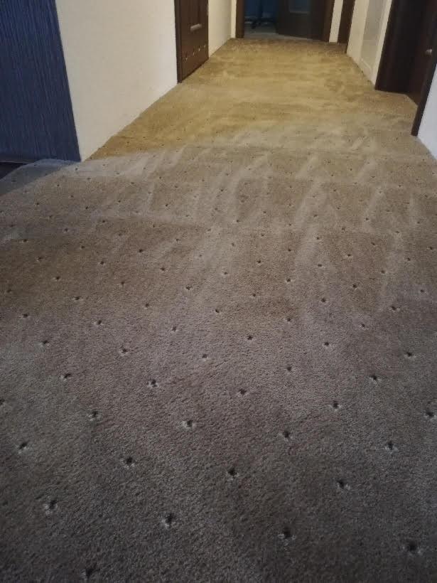 Fragment brązowego dywanu w korytarzu z ciemnymi punktami, widoczny efekt czyszczenia na części powierzchni.