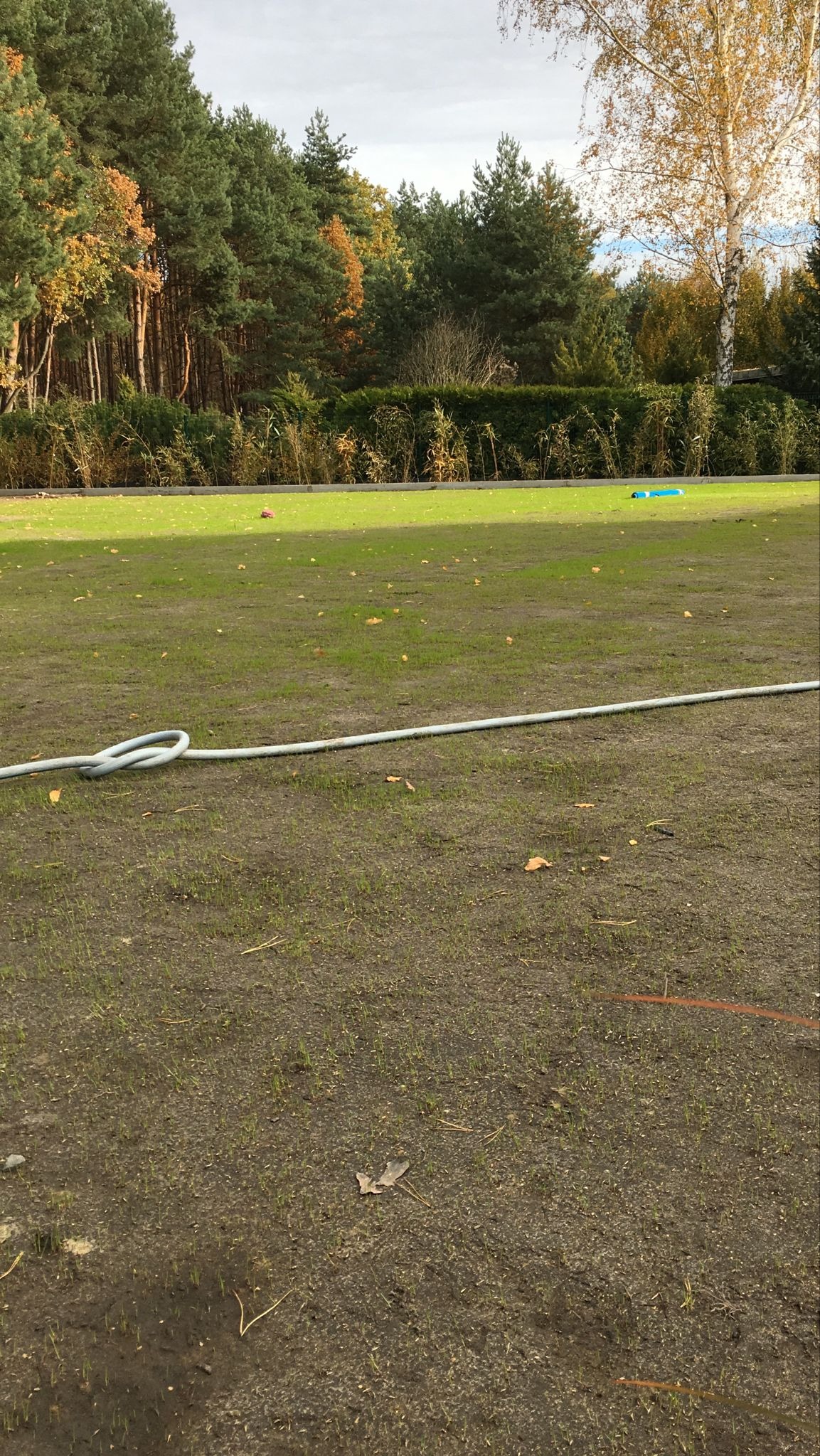 Przygotowanie terenu pod budowę: wyrównana, wilgotna ziemia z młodą trawą, widoczny sznur wyznaczający granice, w tle drzewa.