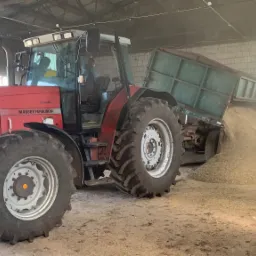 Czerwony traktor Massey Ferguson 8160 z zieloną przyczepą wysypuje jasne ziarno wewnątrz budynku magazynowego o ścianach z białej cegły.