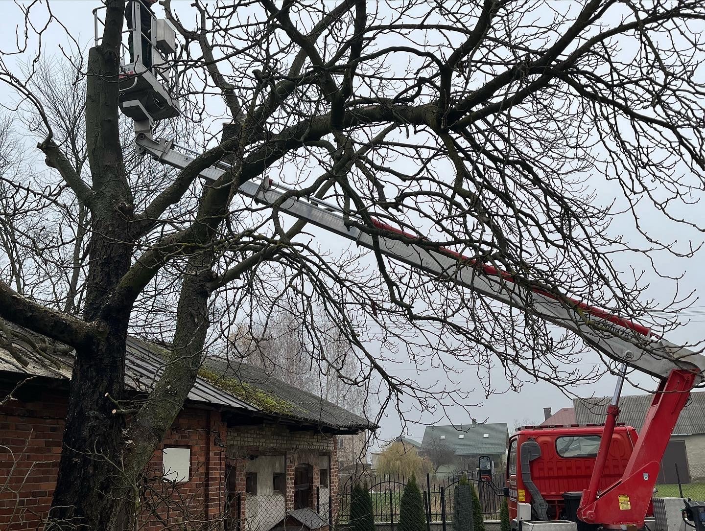 Podnośnik koszowy przy częściowo ogołoconym z gałęzi drzewie, z widocznym budynkiem w tle i czerwoną ciężarówką, wykonujący prace na wysokości.