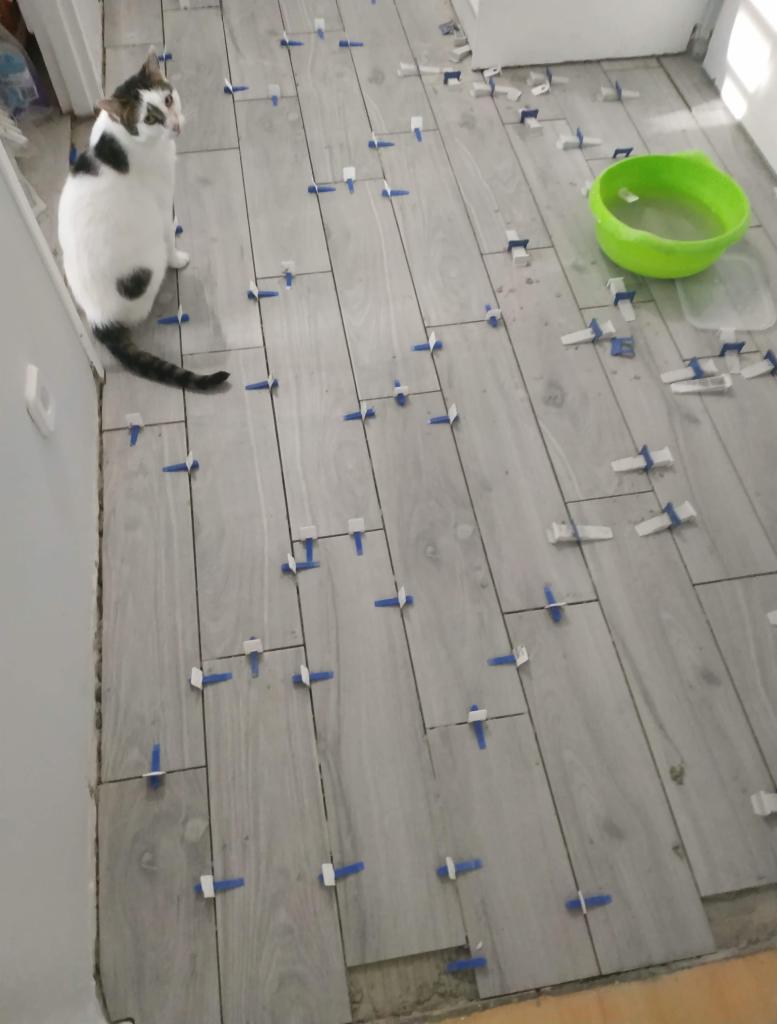 Układanie szarych płytek podłogowych imitujących drewno z użyciem niebieskich krzyżyków dystansowych; w rogu pomieszczenia siedzi kot obserwujący pracę.