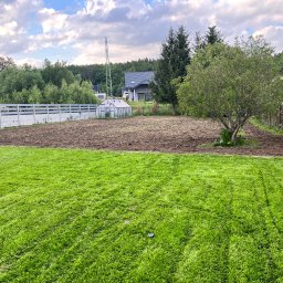 Mateusz Z - Przygotowany teren pod ogród, z widocznym fragmentem trawnika, drzewem i ogrodzeniem w tle.