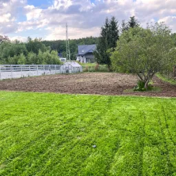 Przygotowany teren pod ogród, z widocznym fragmentem trawnika, drzewem i ogrodzeniem w tle.