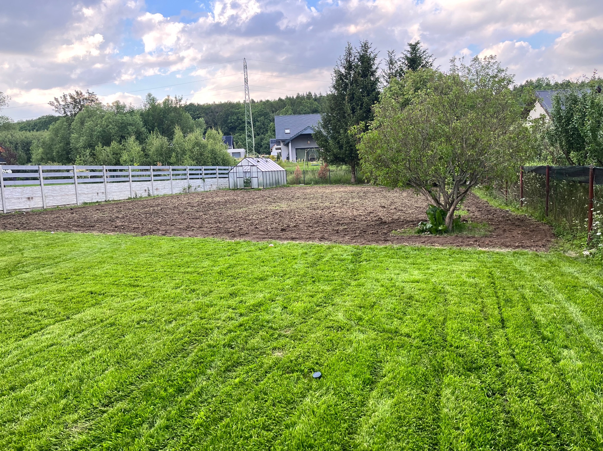 Przygotowany teren pod ogród, z widocznym fragmentem trawnika, drzewem i ogrodzeniem w tle.