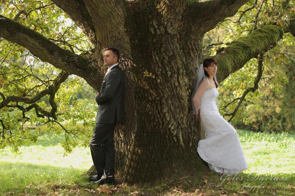 Para młoda oparta o duży, omszały dąb w parku, on w ciemnym garniturze, ona w białej sukni ślubnej z welonem, oboje patrzą w różne strony.