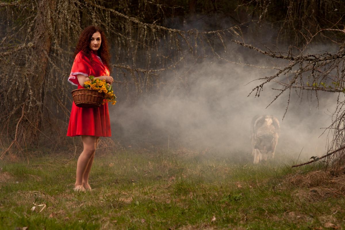 Kobieta w czerwonej sukience i pelerynie z koszykiem żółtych kwiatów na łące, w tle zamglona sylwetka wilka.