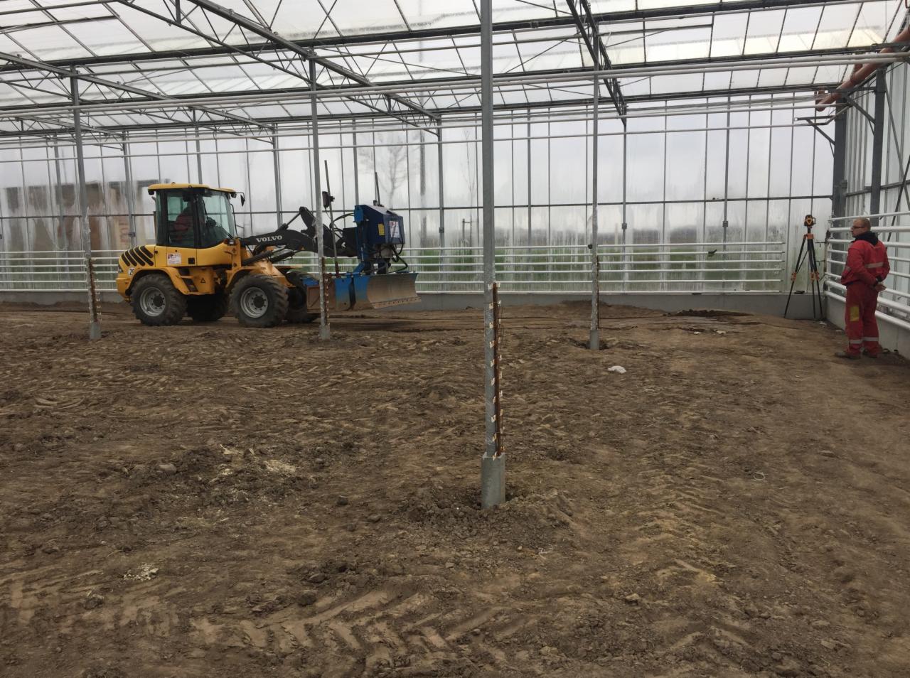 Żółta ładowarka Volvo z niebieskim osprzętem wyrównuje teren wewnątrz szklarni, obok stoi geodeta z niwelatorem.