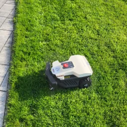 Automatyczny robot koszący na zadbanym trawniku, widoczny z góry, obok kostki brukowej.