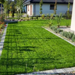 Perfekcyjnie utrzymany trawnik z rolki, obrzeża z kostki, ozdobne kamienie i nasadzenia w przydomowym ogrodzie w słoneczny dzień.