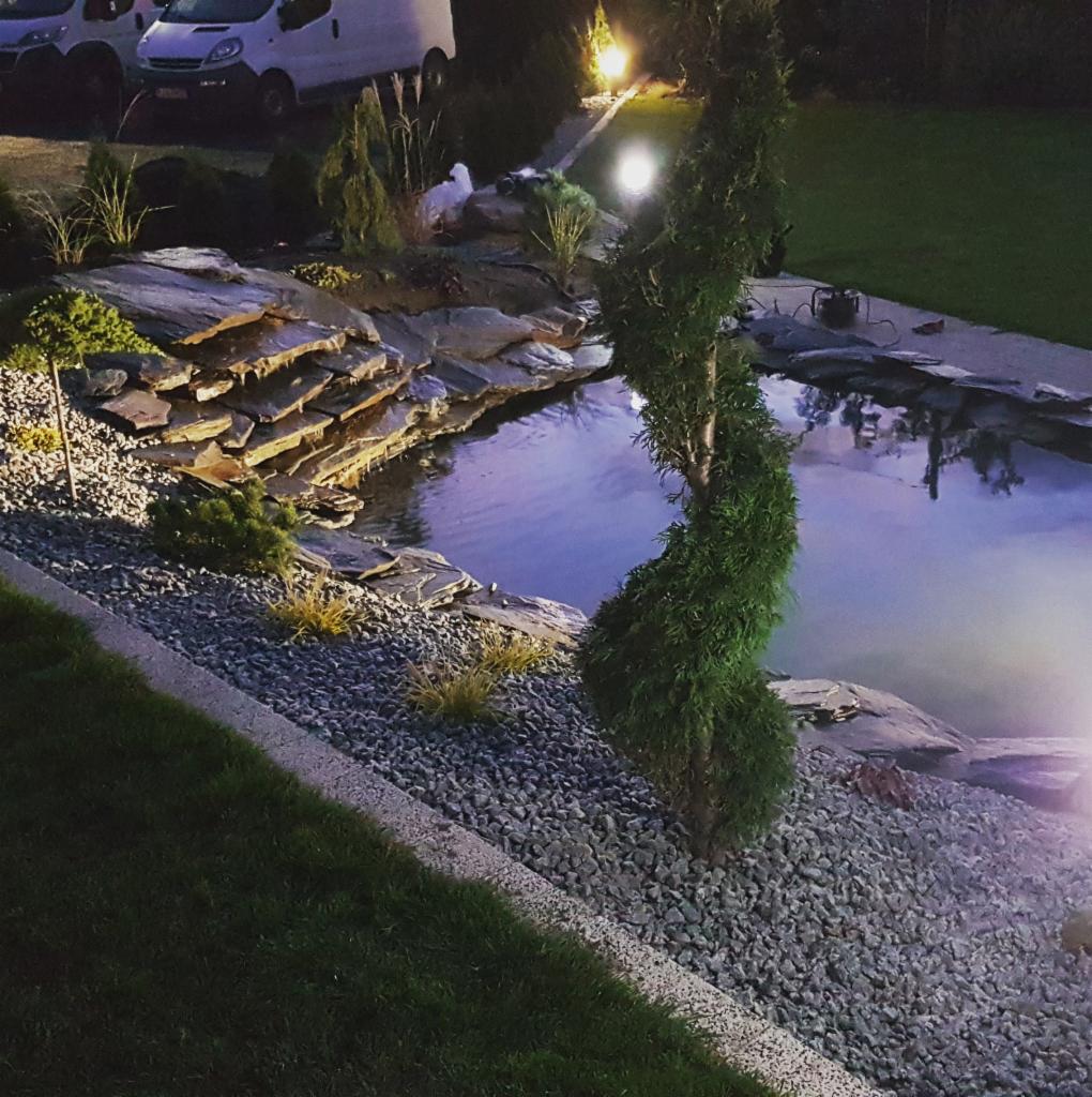 Oświetlony, kaskadowy staw ogrodowy z kamiennymi brzegami i spiralnie formowanym iglakiem, wieczorne oświetlenie punktowe, widoczne samochody w tle.