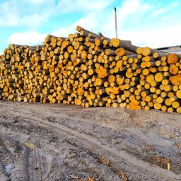 P.U.H. Ewa Milczek - Zakładanie trawnik&oacute;w Żnin