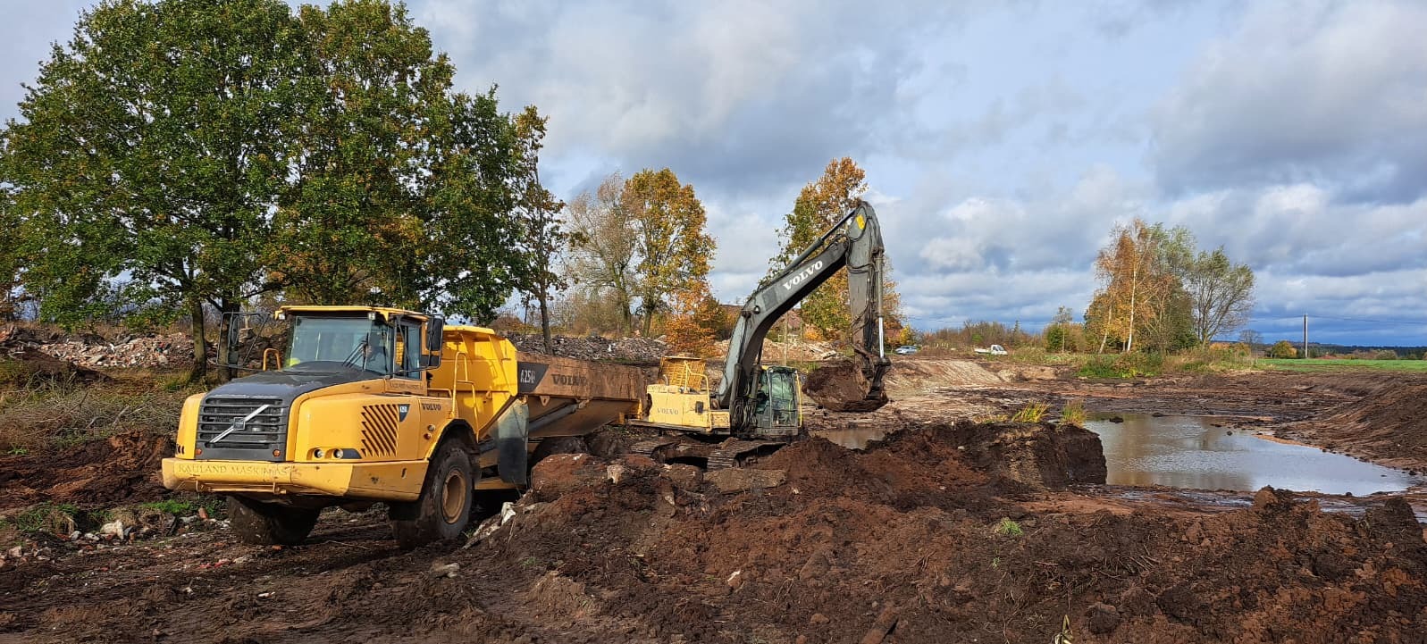 Żółta wywrotka Volvo i koparka Volvo pracują na placu budowy z błotnistym terenem i drzewami w tle, pod pochmurnym niebem. Prace ziemne w toku.