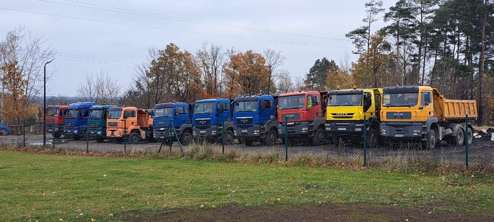 Rząd kolorowych ciężarówek (MAN, Iveco) za ogrodzeniem na tle drzew i pochmurnego nieba. Widoczne różne barwy kabin: niebieska, czerwona, żółta, pomarańczowa, zielona.