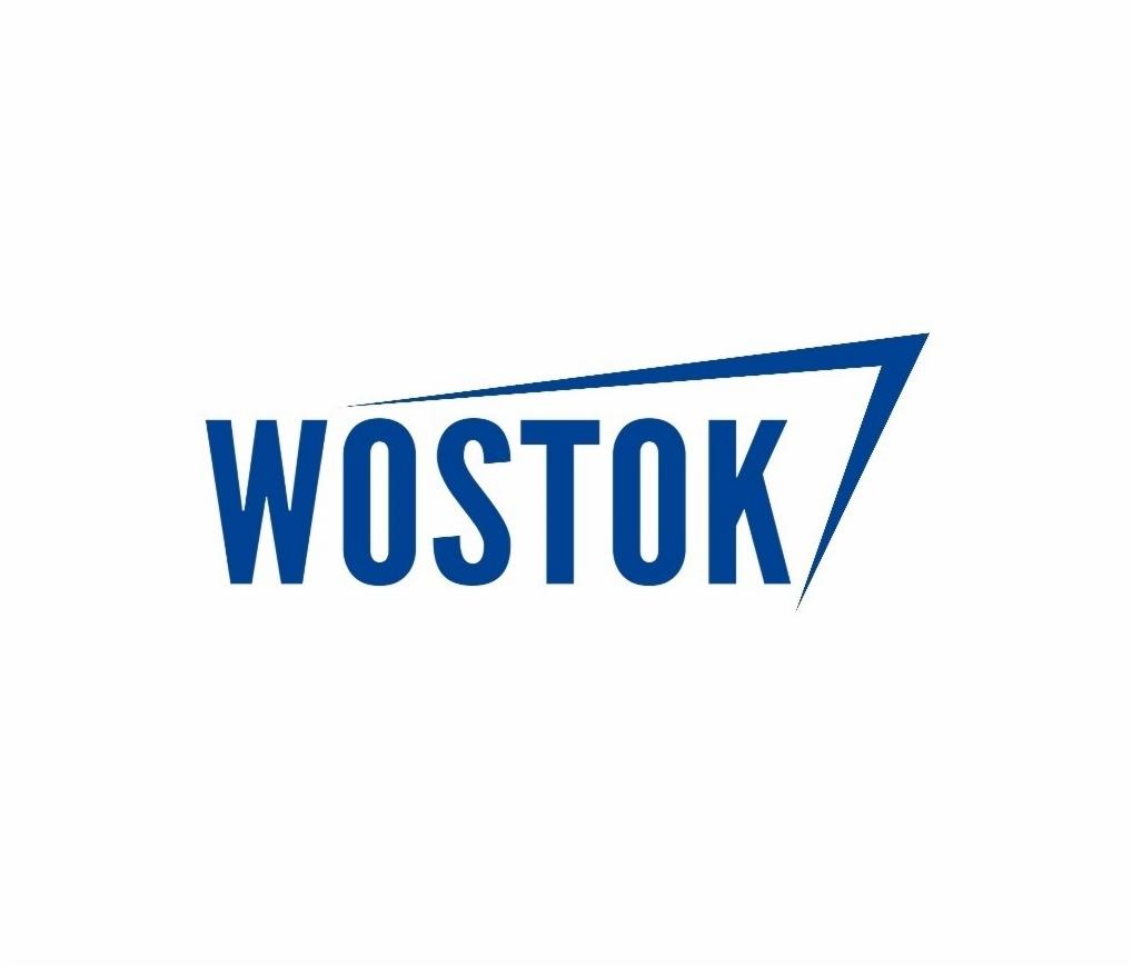 Niebieskie logo firmy WOSTOK na białym tle, z ukośną linią nad nazwą tworzącą strzałkę w prawym górnym rogu.