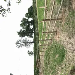 Nowo postawione, drewniane ogrodzenie na nierównym, trawiastym terenie z widocznymi drzewami w tle.