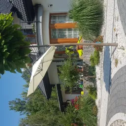 Ogród przydomowy z dużą katalpą na tle domu, widoczny parasol ogrodowy i ścieżka z kostki brukowej.