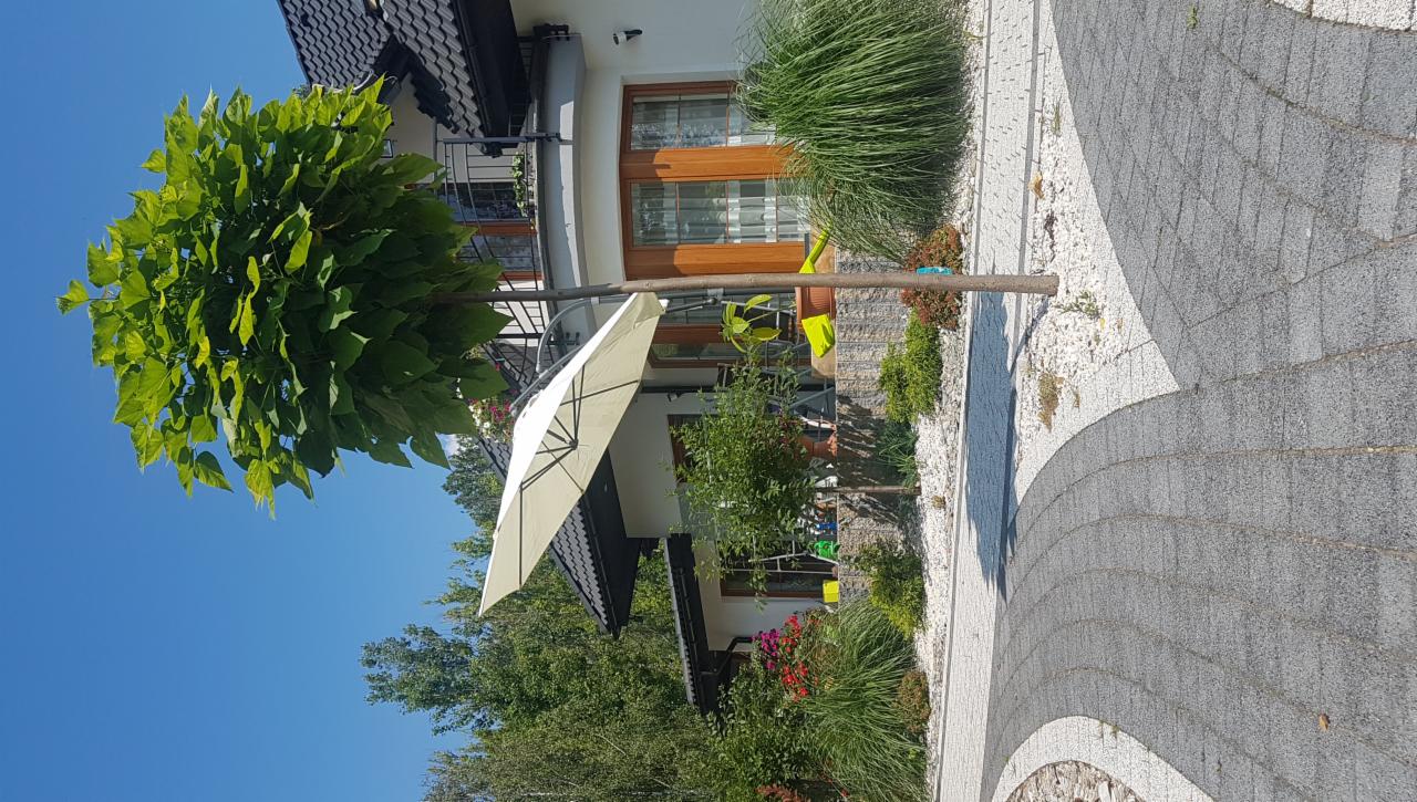 Ogród przydomowy z dużą katalpą na tle domu, widoczny parasol ogrodowy i ścieżka z kostki brukowej.
