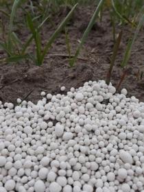 Agro Rus - Nawozy Lisowice-Kolonia