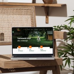 Tworzenie stron internetowych Tarnów 2