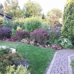 Ogród po metamorfozie