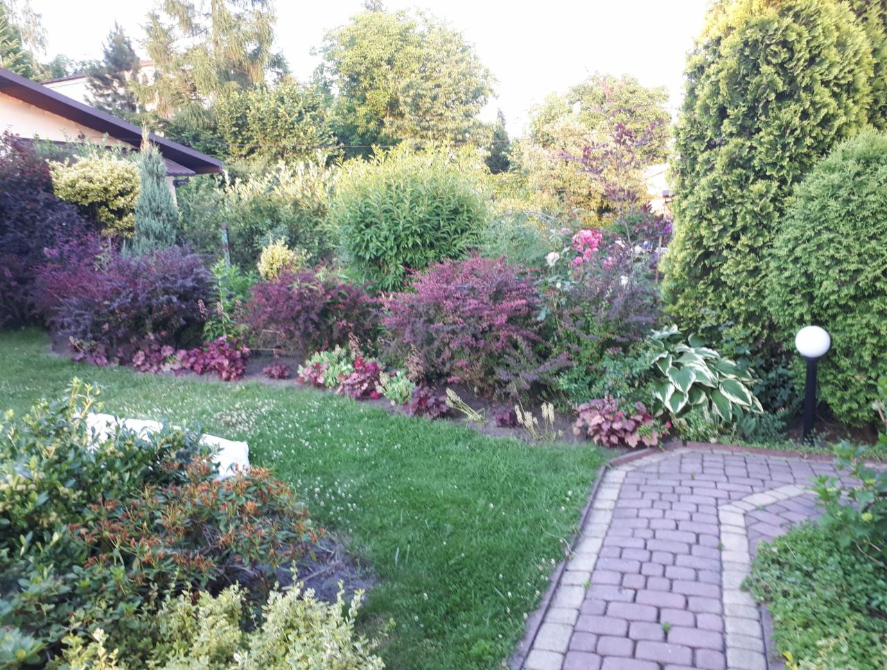 Ogród po metamorfozie