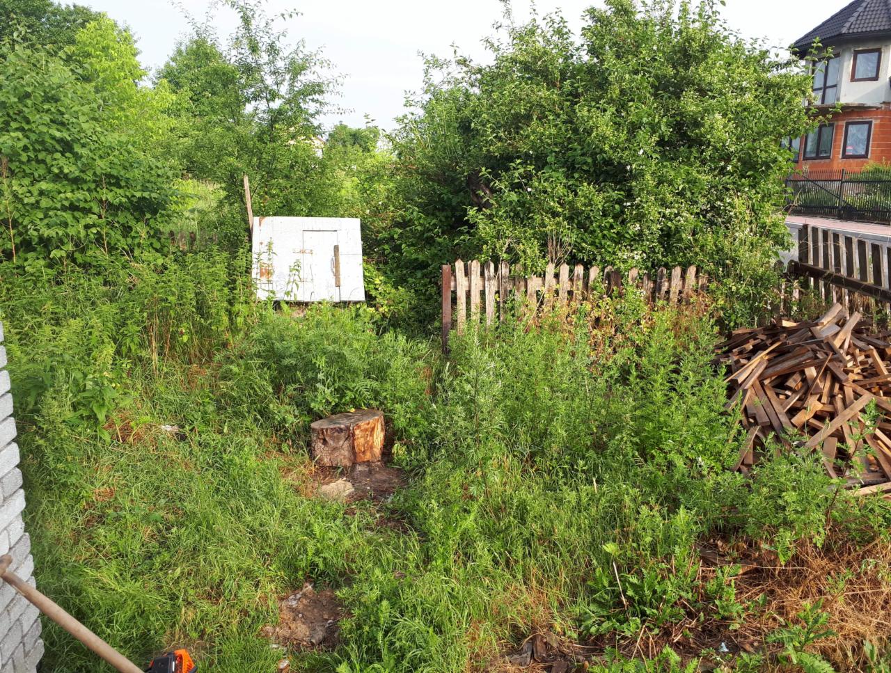 Zdjęcie PRZED czyszczenie, wycinka, koszenie podworka