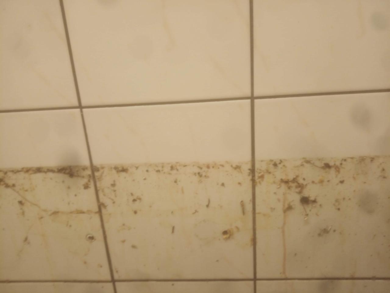 Mycie płytek parownica