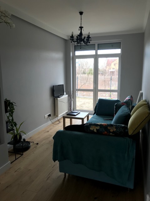 Szare wnętrze pokoju dziennego z turkusową sofą, drewnianą podłogą i czarnym żyrandolem, widok na okno z zielenią na zewnątrz.