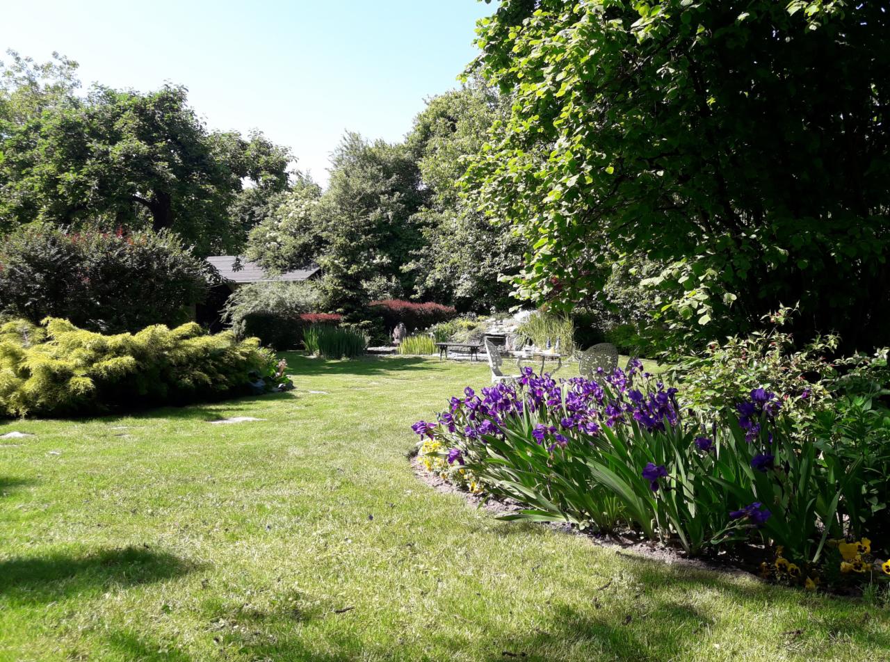 Rozległy trawnik z rabatą fioletowych irysów na pierwszym planie, w tle drzewa, krzewy i meble ogrodowe