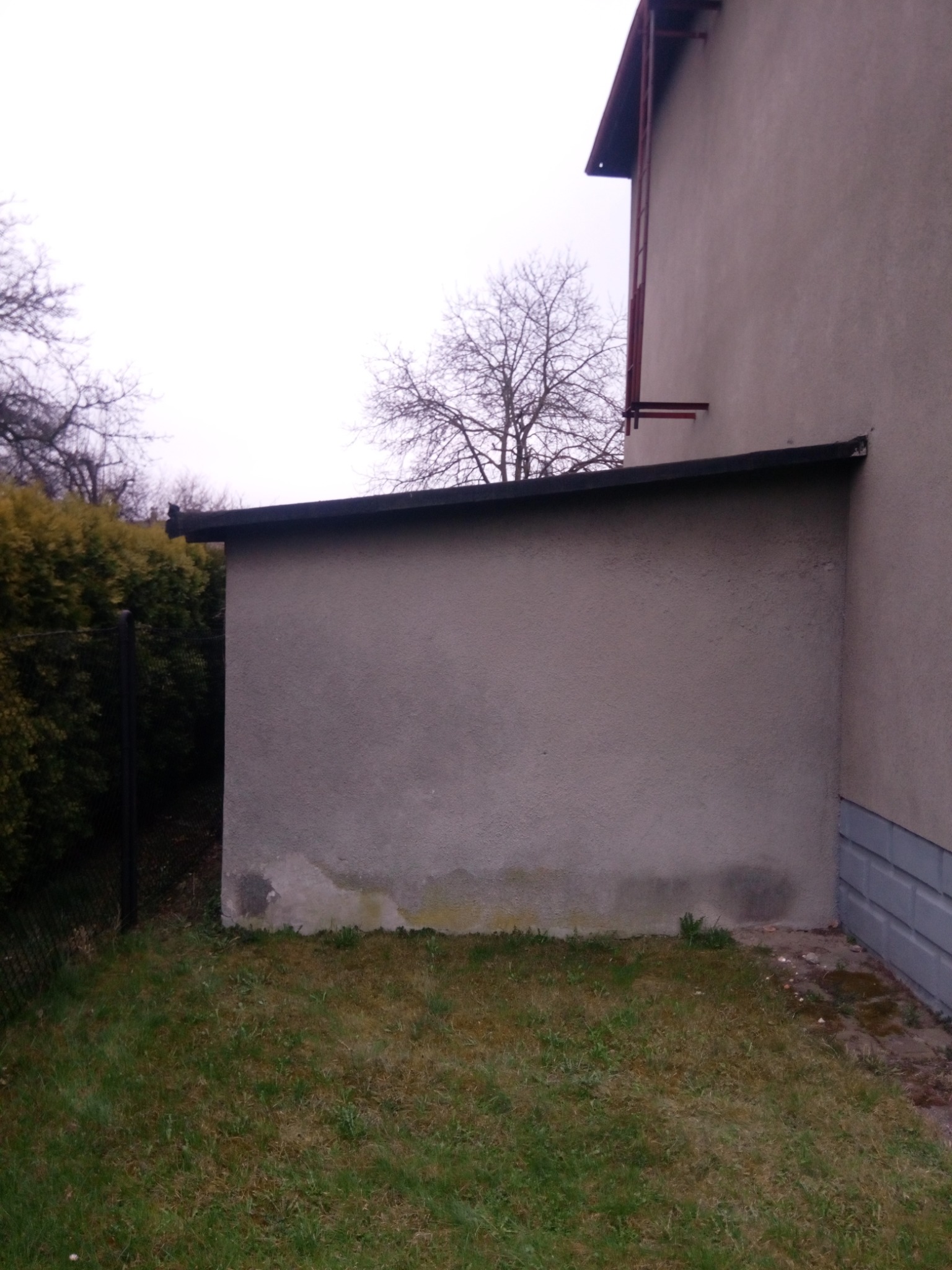 Szara, otynkowana ściana budynku z widocznymi śladami wilgoci u dołu, przylegająca do zielonego trawnika i ogrodzenia z siatki, z drzewem bez liści w tle, sfotografowana w pochmurny dzień.