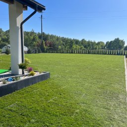 Pinlux - Rozległy, idealnie przystrzyżony trawnik przed nowoczesnym domem z rabatą kwiatową wzdłuż ściany, z rzędem drzew w tle i błękitnym niebem.