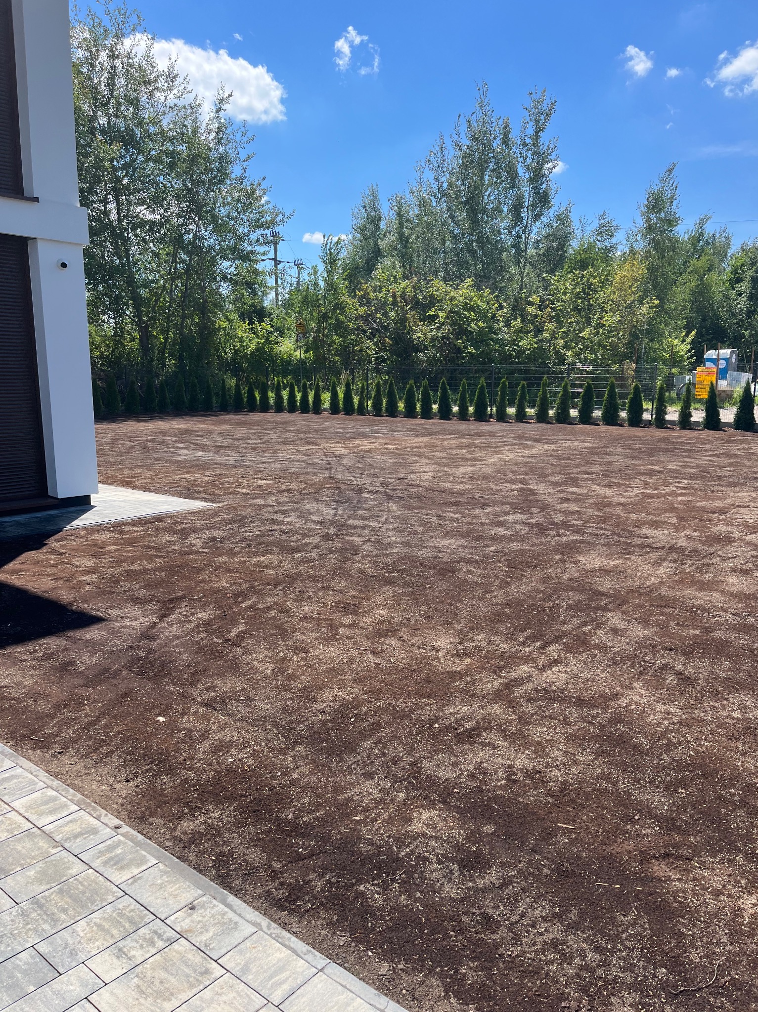 Przygotowany teren pod trawnik z widocznymi śladami po bronowaniu, obok nowoczesnego domu z szarymi roletami i rzędem posadzonych, małych tuj.