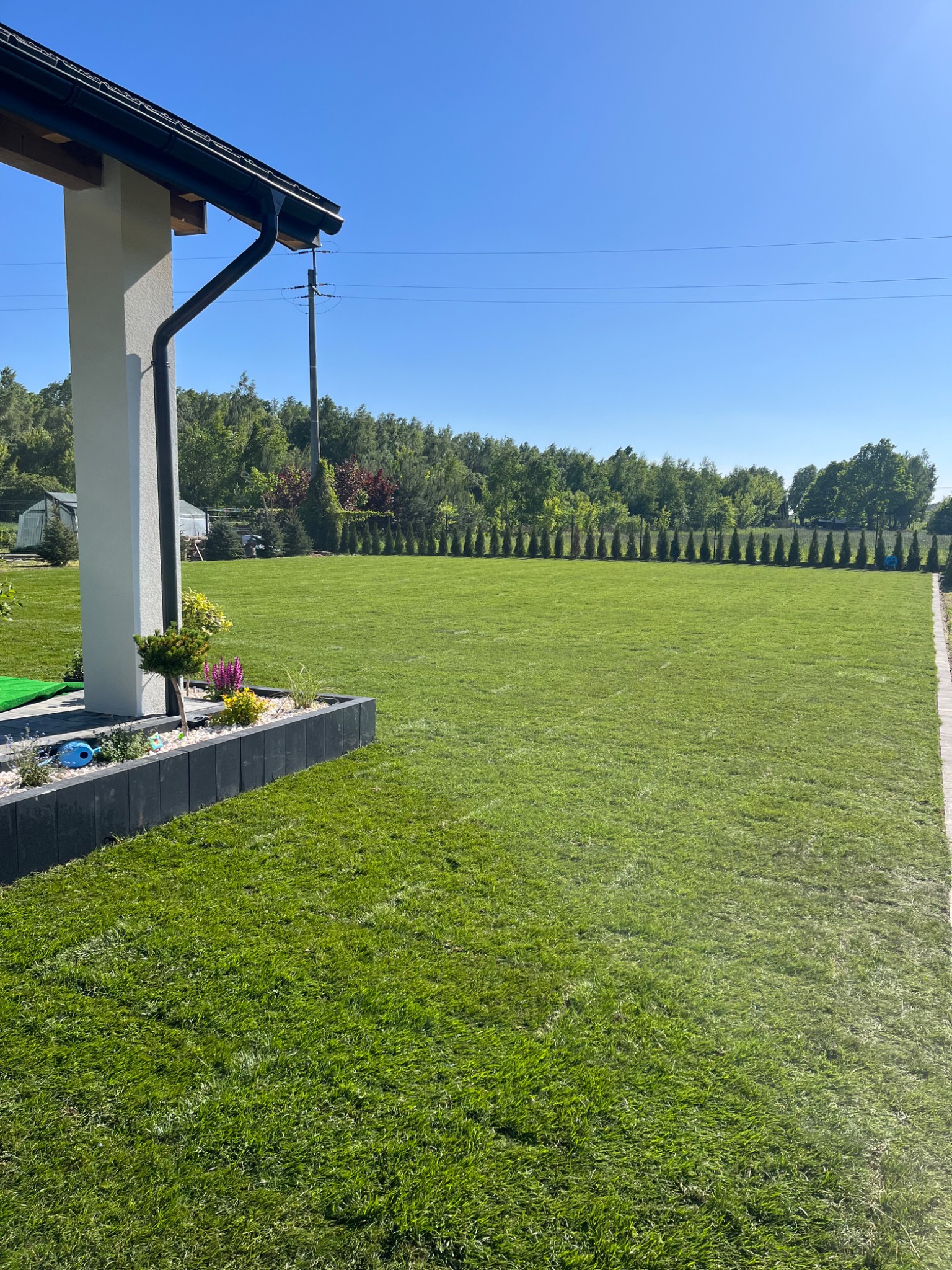 Rozległy, idealnie przystrzyżony trawnik przed nowoczesnym domem z rabatą kwiatową wzdłuż ściany, z rzędem drzew w tle i błękitnym niebem.