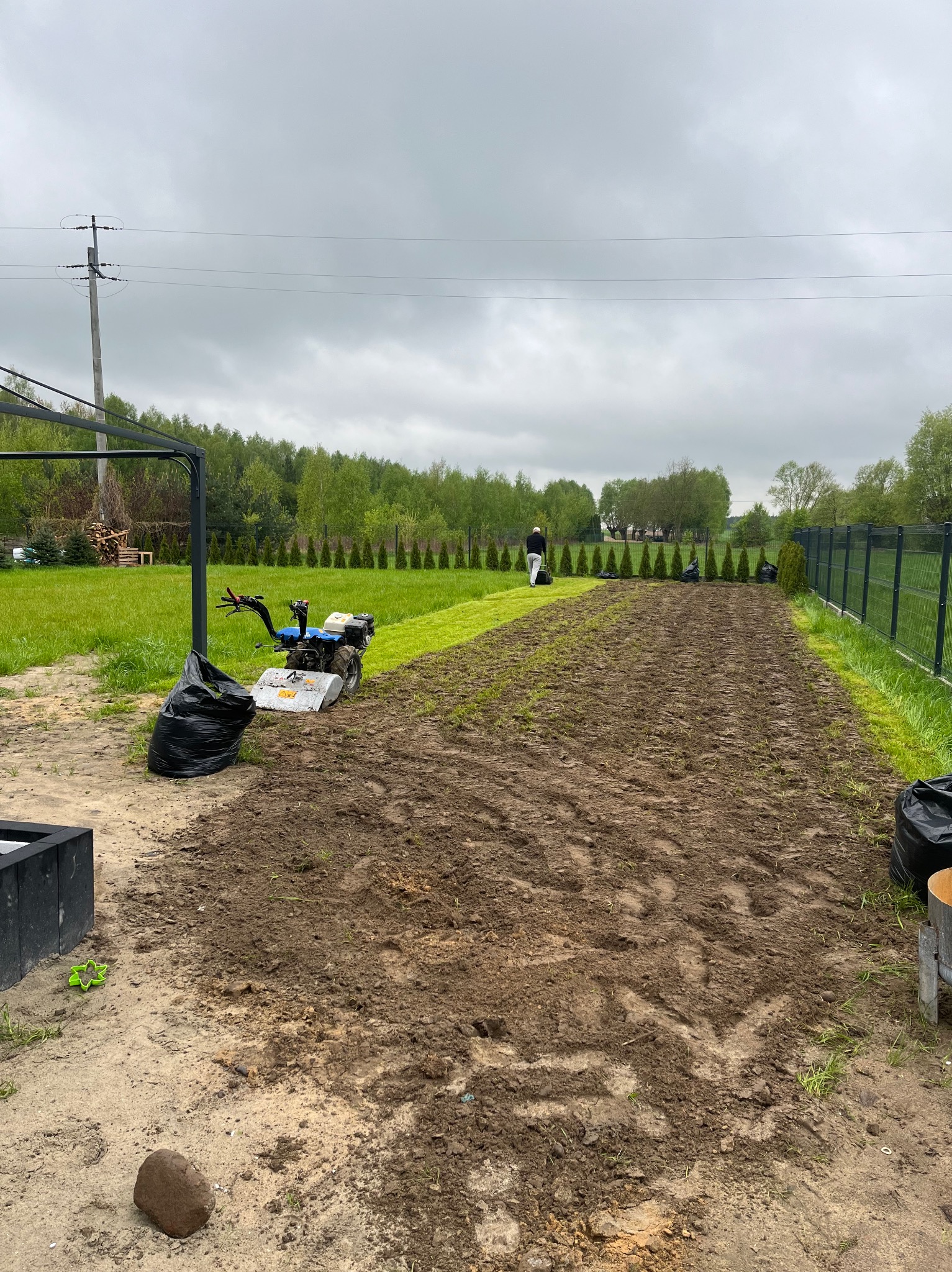 Przygotowanie terenu pod trawnik: glebogryzarka obok czarnych worków, w tle osoba z kosiarką na tle szpaleru tuj i siatki ogrodzeniowej.