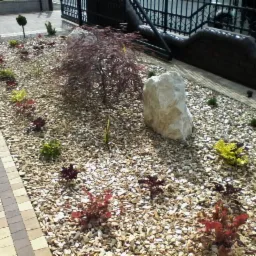 Ogród przydomowy z małym drzewkiem, ozdobnymi krzewami i kamieniami dekoracyjnymi, wysypany drobnym żwirem, obok ścieżka z kostki brukowej.