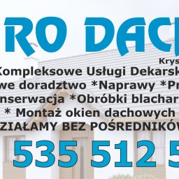 PHU EURO DACHY - Pierwszorzędne Malowanie Dachów w Ożarowie Mazowieckim