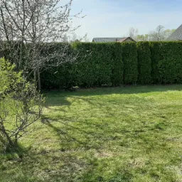 Zadbany trawnik z równo przyciętym żywopłotem z tui i młodymi drzewkami na pierwszym planie, w tle widoczny dom z szarą dachówką i panelami słonecznymi.