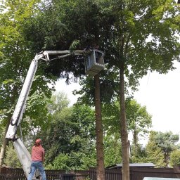 Projektowanie ogrod&oacute;w Cieszyn