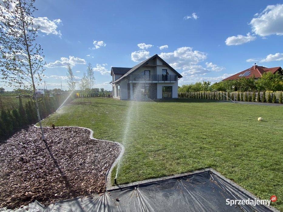 Automatyczny system nawadniania trawnika w ogrodzie z nowoczesnym domem w tle, widoczne zraszacze i świeżo nawodniona trawa.