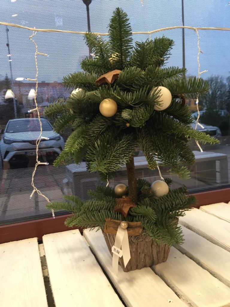 Mała choinka na białym drewnianym stole, ozdobiona białymi i złotymi bombkami, drewnianymi gwiazdkami i delikatnymi światełkami, w tle okno z widokiem na samochód.