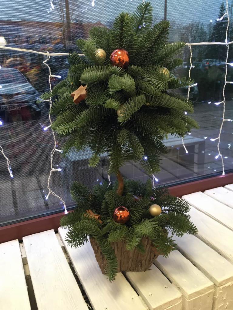 Dwupoziomowa choinka z gałązek świerkowych w korze drzewa, ozdobiona złotymi i pomarańczowymi bombkami oraz drewnianą gwiazdką, oświetlona delikatnymi lampkami na tle okna.