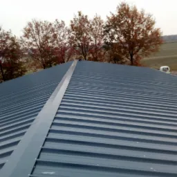 Szary dach hali z blachy trapezowej, widok z góry, z drzewami w tle i elementami krajobrazu.