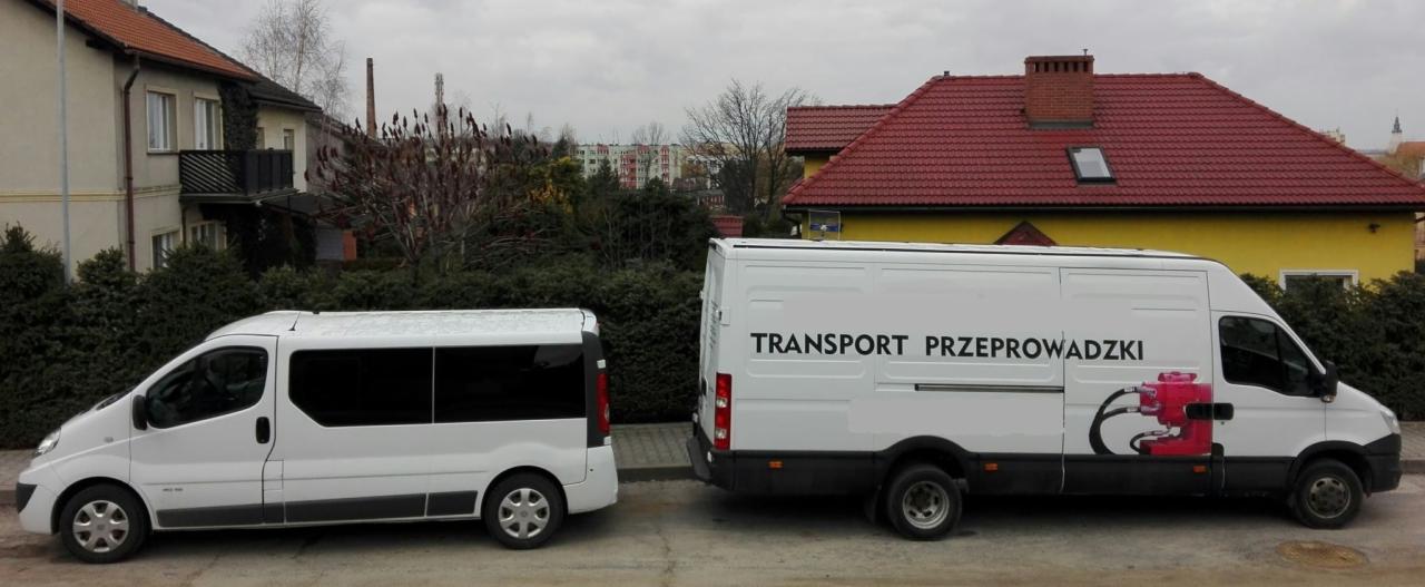 Dwa białe busy zaparkowane obok siebie na tle zabudowy miejskiej; na większym busie napis 'TRANSPORT PRZEPROWADZKI' i grafika przedstawiająca urządzenie w kolorze różowym.