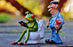 Figurka żaby siedzącej na sedesie z pilotem w ręku, obok stoi figurka hydraulika z przepychaczką, całość na tle rozmytej zieleni.