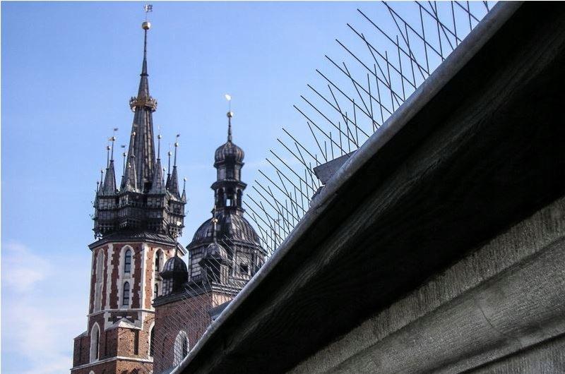 Ochrona przed ptakami na dachu z widokiem na wieże kościoła Mariackiego w Krakowie.