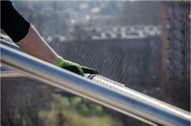 Montaż kolców przeciw ptakom na metalowej konstrukcji balkonu, widok z góry z ręką w zielonej rękawicy roboczej, rozmyte tło miejskie.