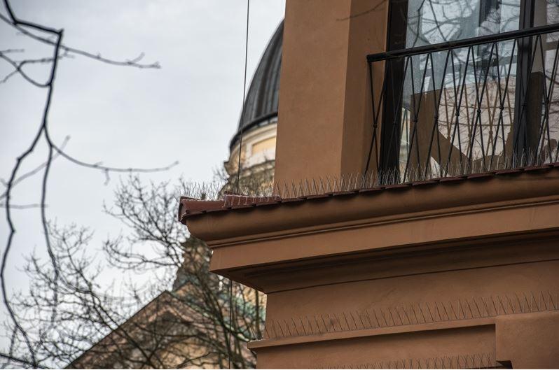 Zabezpieczenie przed ptakami na gzymsie budynku z widocznym balkonem i kopułą w tle.