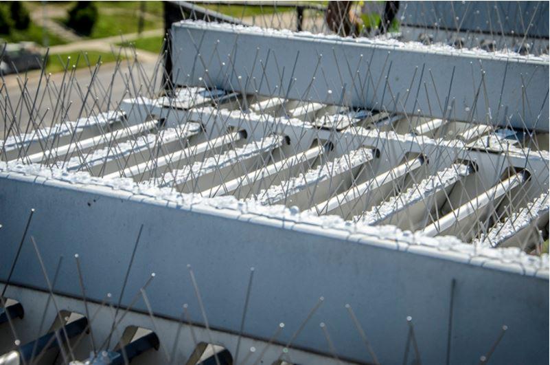 Metalowe kolce przeciw ptakom zamontowane na szarym, betonowym elemencie konstrukcyjnym dachu, widoczne z bliskiej perspektywy.