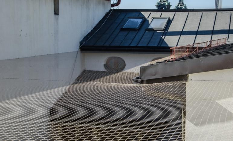 Siatka zabezpieczająca przed ptakami na dachu budynku z widocznymi oknami dachowymi i elementami architektury miejskiej w tle.