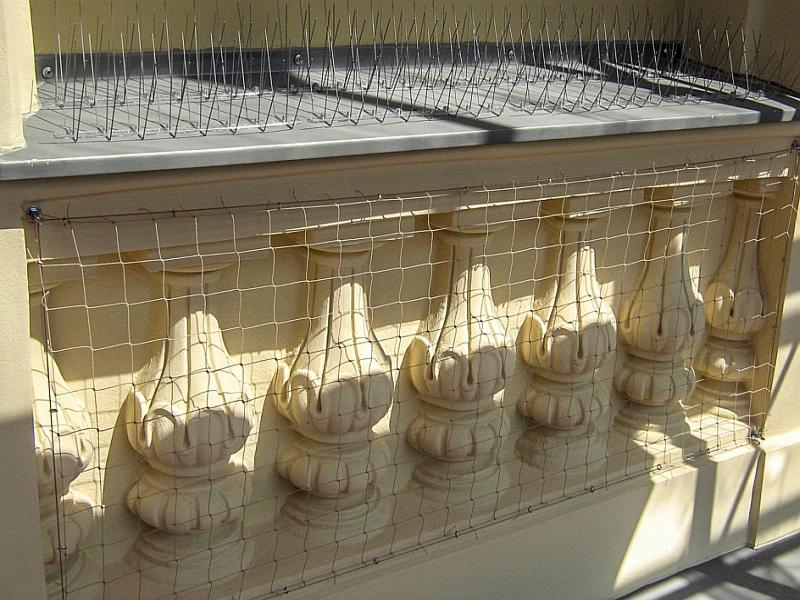 Barierki balkonowe zabezpieczone siatką i kolcami przeciw ptakom, widoczne w słonecznym świetle.